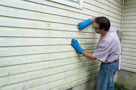 Best Insulated Siding Installation  in Daytona Beach, FL